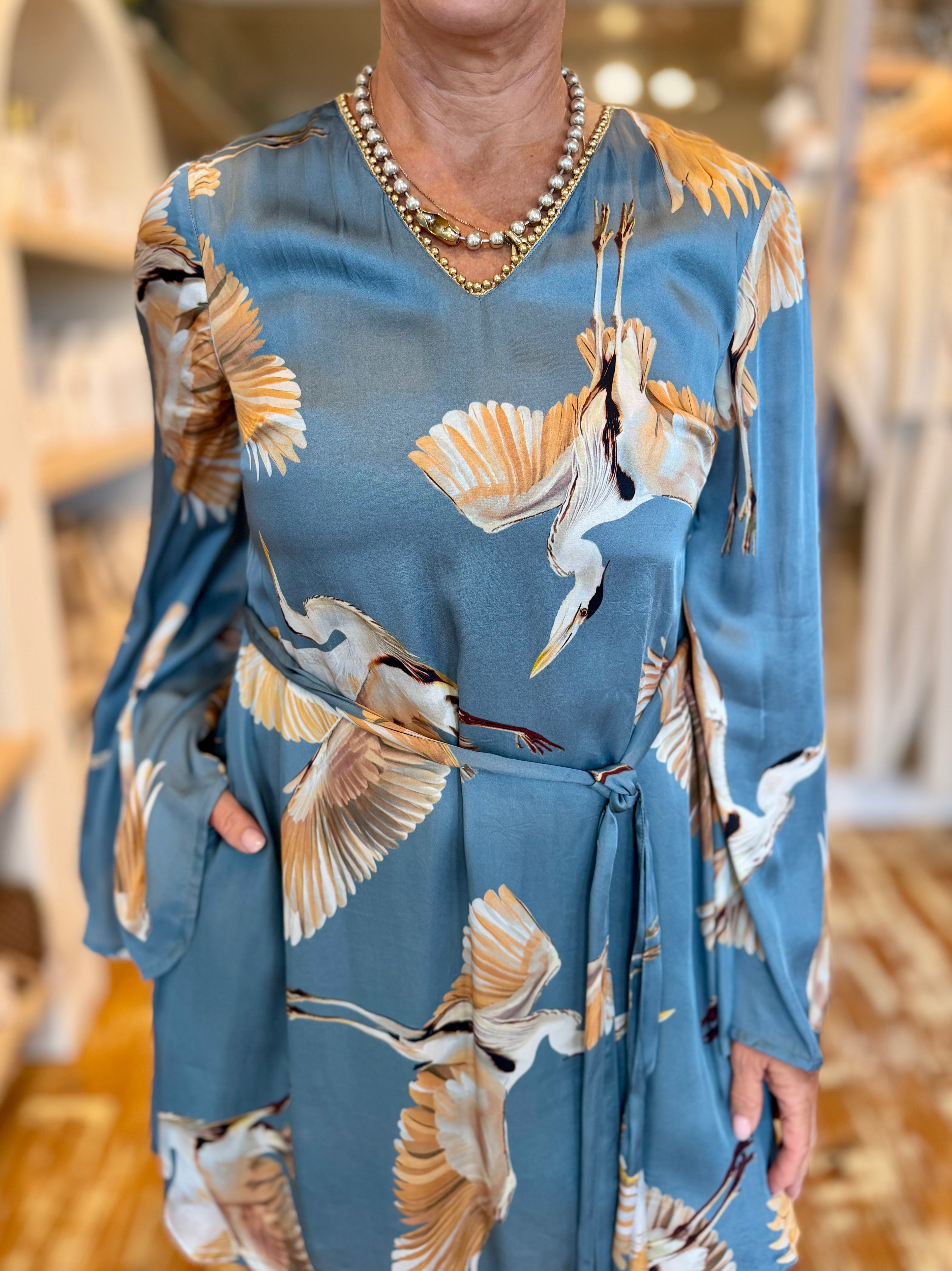 Blue Heron Dress