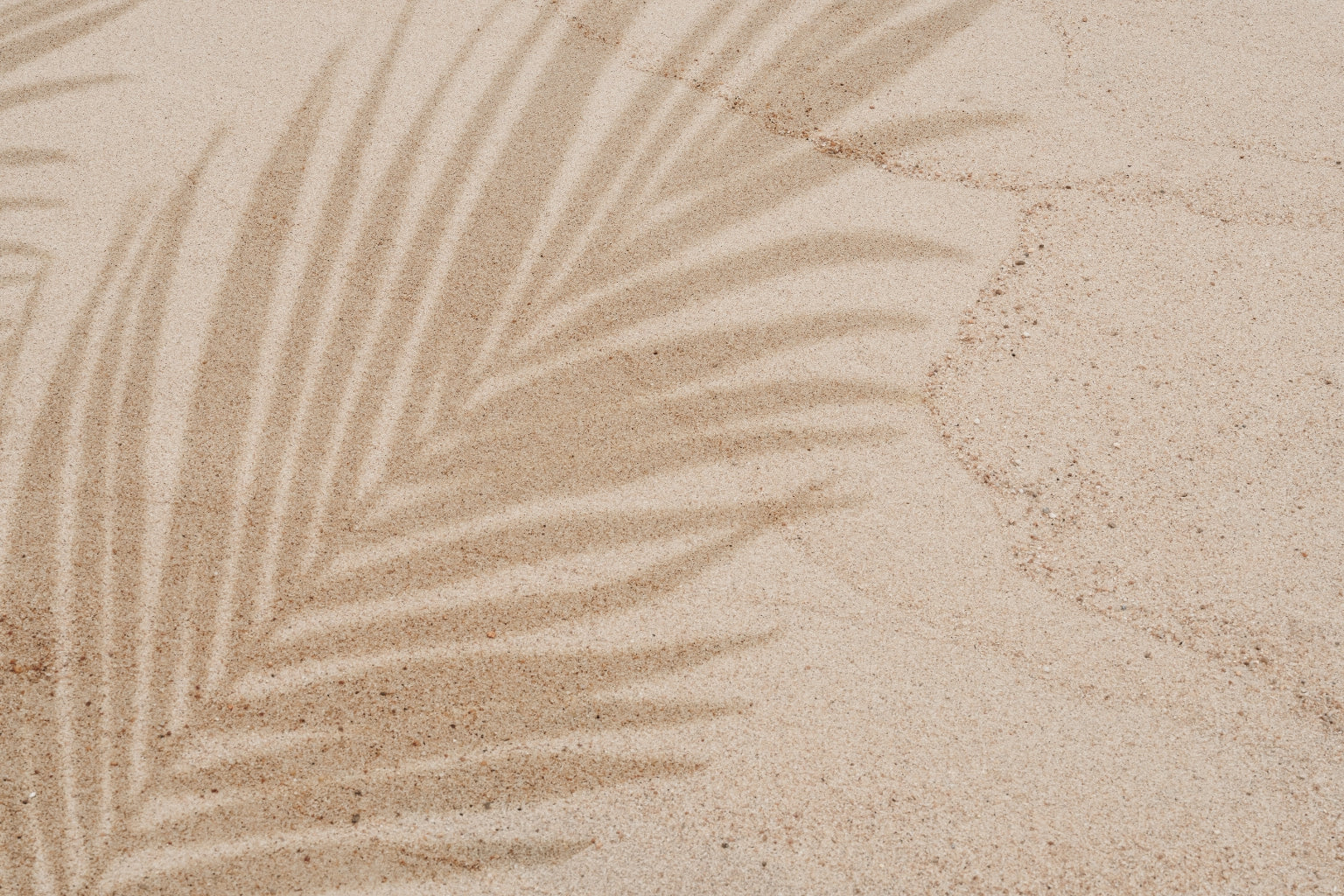 A close-up of light beige sand with soft palm leaf shadows cast across it.